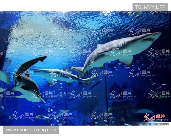 海洋之神旗舰厅下载官网详细教程,帮助新手快速上手畅玩海底探险游戏 海洋之神旗舰厅下载官网详细教程,帮助新手快速上手畅玩海底探险游戏